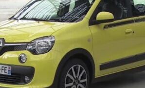 Industry Report TWINGO